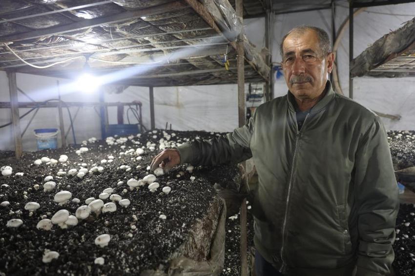 Altınlarını bozdurup bu işe girdi! Ahırda üretmeye başladı şimdi herkes peşinde