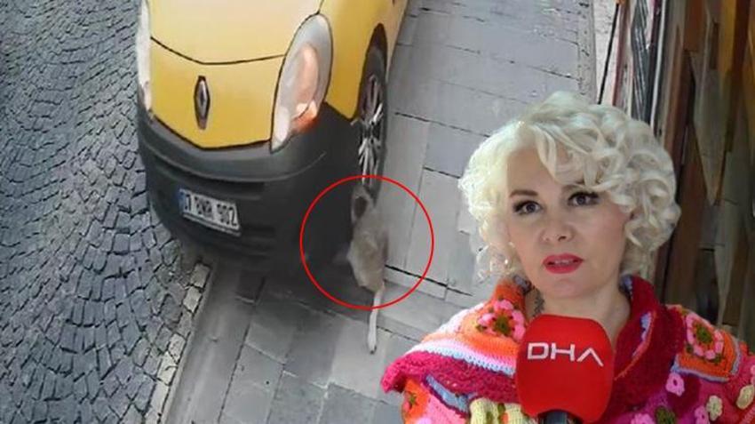 ‘Mardinli Marilyn Monroe’ tahliye edildi! Taksi şoförünün köpeği ezdiği anın videosunu paylaştığı için cezaevine girmişti