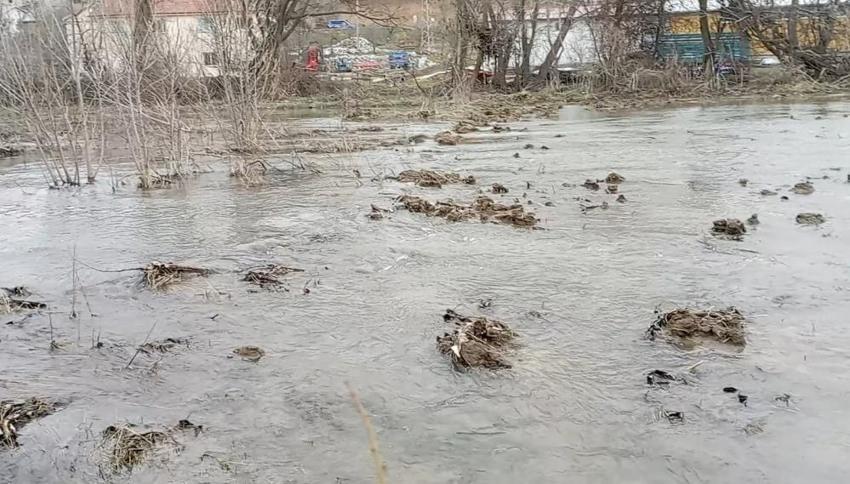 Tokat'ta bin 500 dönümde görüldü: Köylüler kapılara dayandı