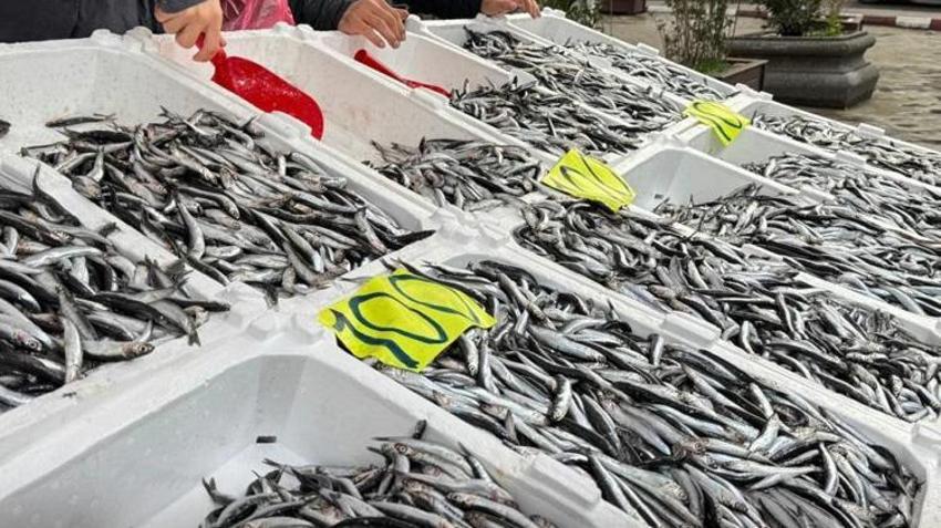 Sevgililer Günü'ne özel hamsi fiyatlarını indirdi! Vatandaşlar tezgaha akın etti