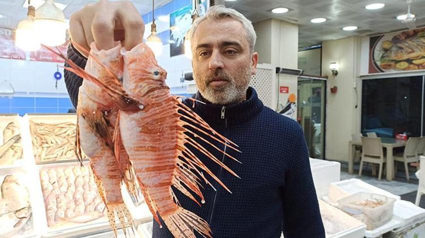 Tezgahta satışı yasak! Süveyş Kanalı'nın açılmasıyla Akdeniz'e gelen balığın özel müşterisi var