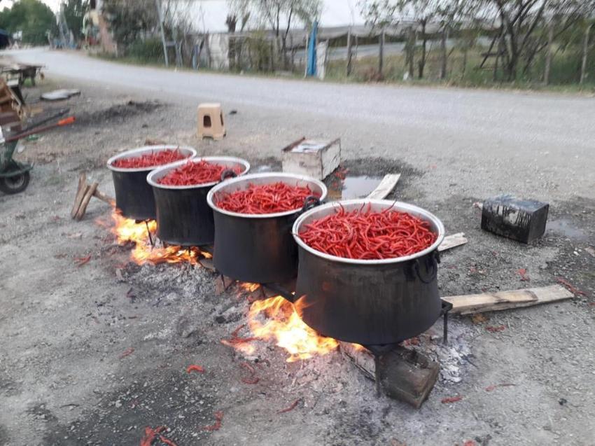 Sadece Samsun'da yetişiyor! Evde yapıp tüm Türkiye’ye satıyorlar: Sipariş yağıyor