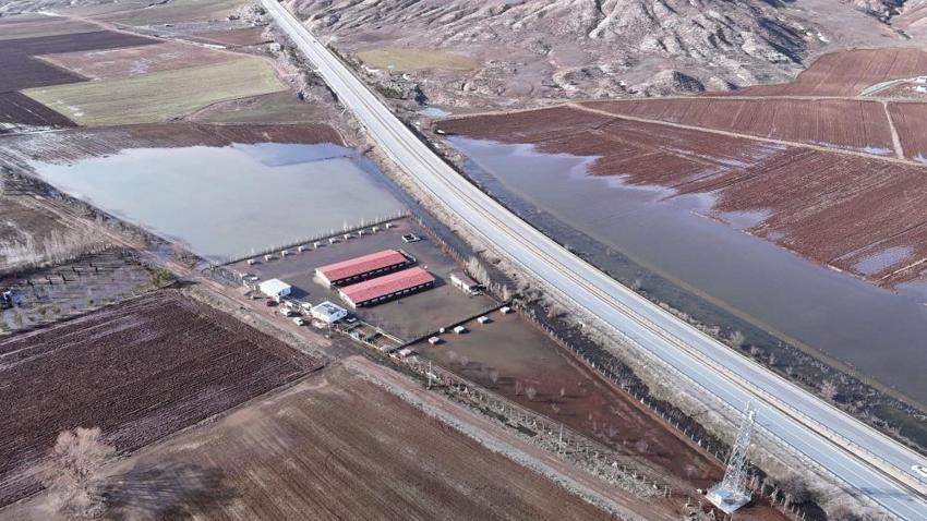 Kar yağmasaydı Sivas'ta görülmeyecekti: Köyde ilk kez ortaya çıktı