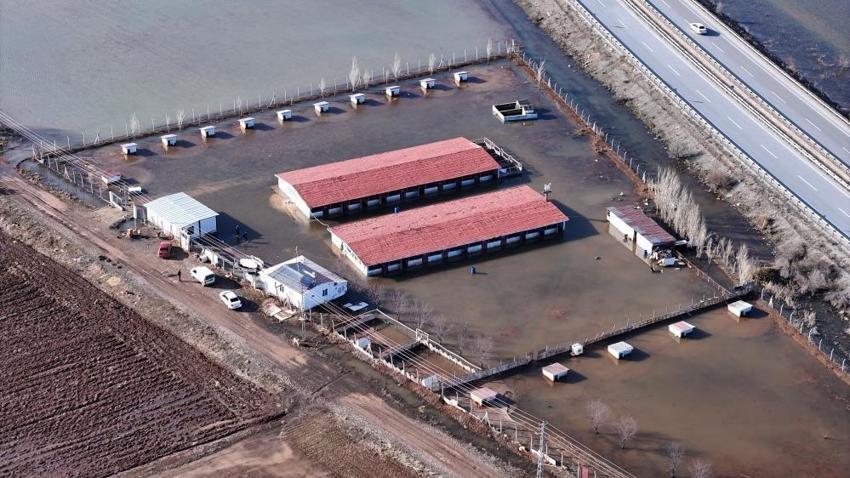 Kar yağmasaydı Sivas'ta görülmeyecekti: Köyde ilk kez ortaya çıktı