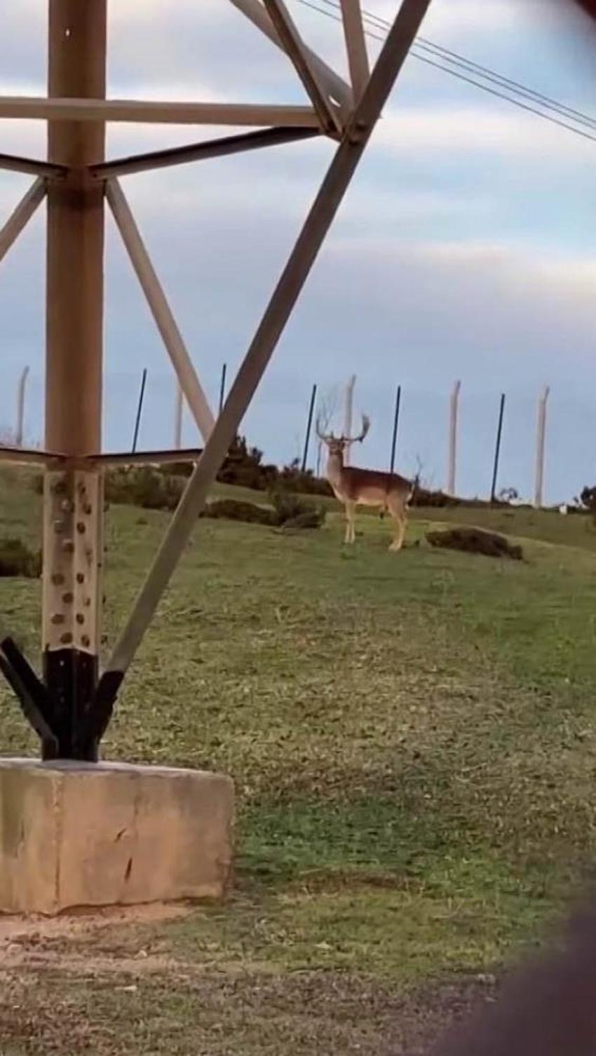 Sosyal medyada görüp oraya koştular! İstanbul’da görenleri hayran bırakan manzara