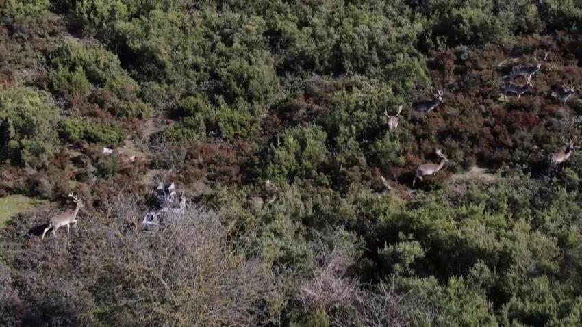 Sosyal medyada görüp oraya koştular! İstanbul’da görenleri hayran bırakan manzara