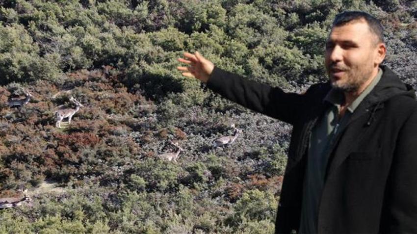 Sosyal medyada görüp oraya koştular! İstanbul’da görenleri hayran bırakan manzara