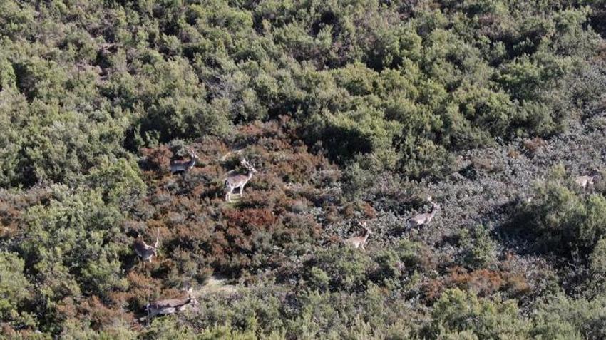 Sosyal medyada görüp oraya koştular! İstanbul’da görenleri hayran bırakan manzara