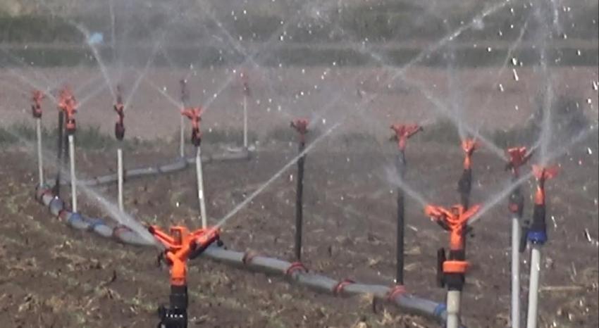 Aksaraylı çiftçilere kritik uyarı! 'Ürün deseni değişmezse tarım bitecek'