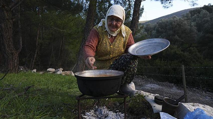 İzmir'de kadınlar 'altın damlatan ağaçlara' sahip çıkıyor! Tek tek budayıp bakım yaptılar