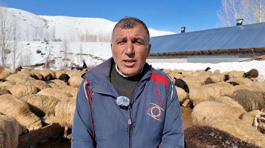 Ercişli vatandaş 'köye dönüş' projesinden faydalandı! Devletin verdiği 100 koyunu 7 katına çıkardı