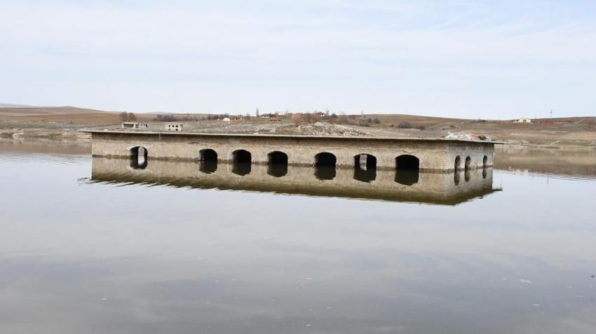 Yozgat'ta 2 haftada kendini gösterdi! Günlük 20 cm yükseliyor