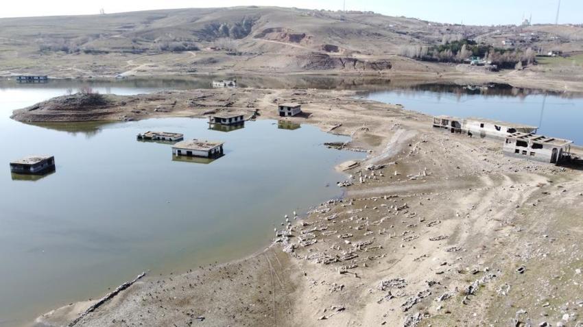 Yozgat'ta 2 haftada kendini gösterdi! Günlük 20 cm yükseliyor