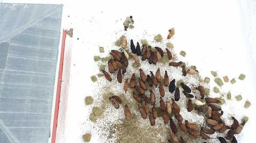 İzmir'de işletmeciliği bırakıp memleketine döndü, aldığı destekle hayatı değişti! 40 dönüm arazi ile servet sahibi oldu