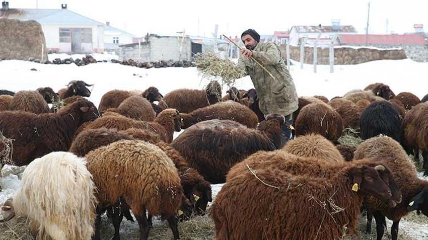 İzmir'de işletmeciliği bırakıp memleketine döndü, aldığı destekle hayatı değişti! 40 dönüm arazi ile servet sahibi oldu