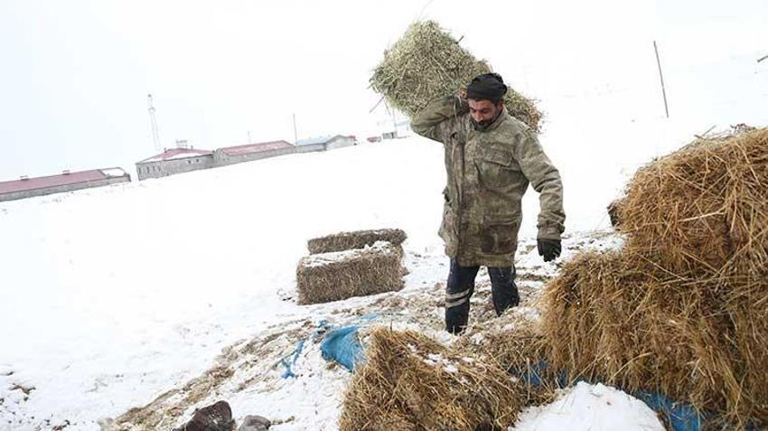 İzmir'de işletmeciliği bırakıp memleketine döndü, aldığı destekle hayatı değişti! 40 dönüm arazi ile servet sahibi oldu