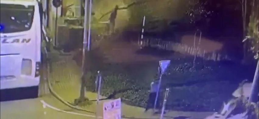 Katil cesedin başında günlerce aynı şeyi yaptı! İstanbul'da öldürüp attı, ilk Kez görmüş gibi ihbar etti