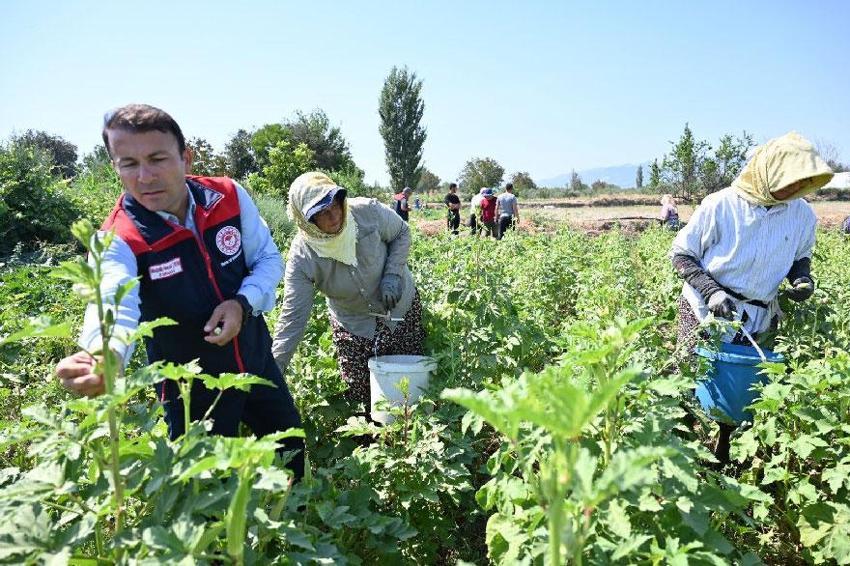 Denizli’nin 2025 bitkisel üretim tablosu yüz güldürdü: 1 milyar 158 milyon 132 bin TL rekor destek sağlandı