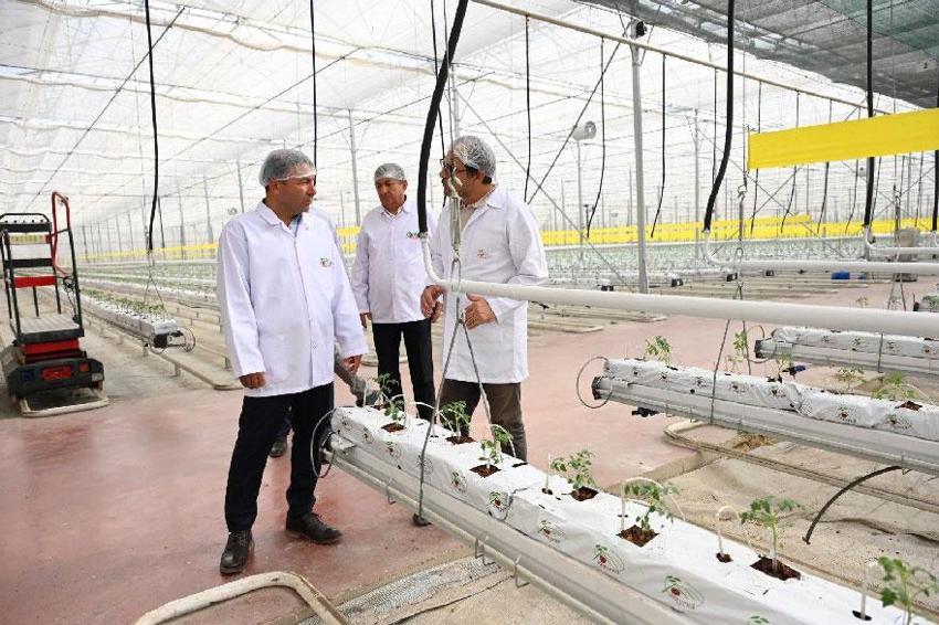 Denizli’nin 2025 bitkisel üretim tablosu yüz güldürdü: 1 milyar 158 milyon 132 bin TL rekor destek sağlandı