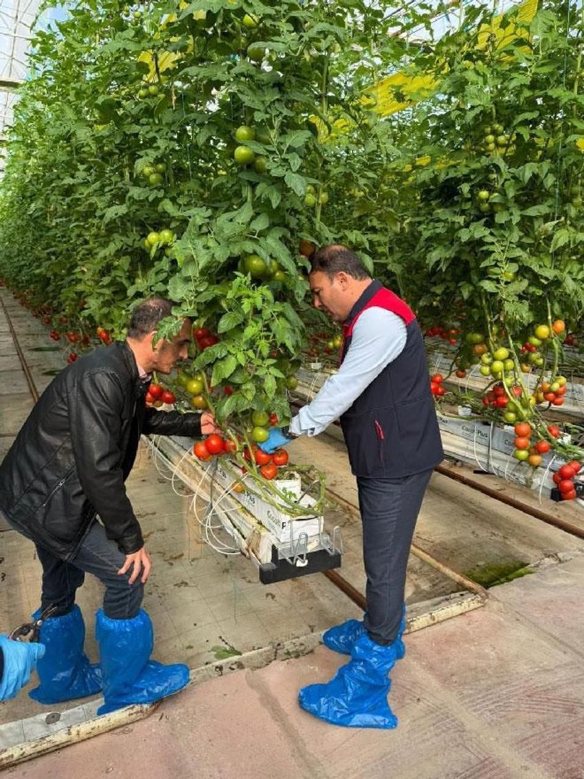 Denizli’nin 2025 bitkisel üretim tablosu yüz güldürdü: 1 milyar 158 milyon 132 bin TL rekor destek sağlandı