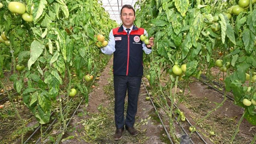 Denizli’nin 2025 bitkisel üretim tablosu yüz güldürdü: 1 milyar 158 milyon 132 bin TL rekor destek sağlandı