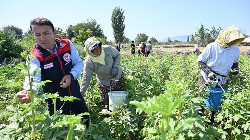 Çiftçiye milyarlık can suyu! Denizli’de tarım atağı zirve yaptı