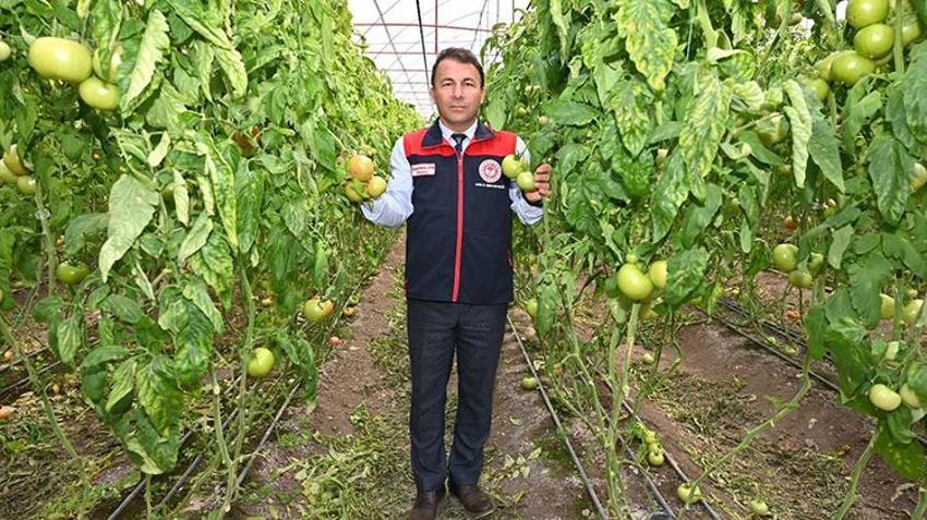 Çiftçiye milyarlık can suyu! Denizli’de tarım atağı zirve yaptı