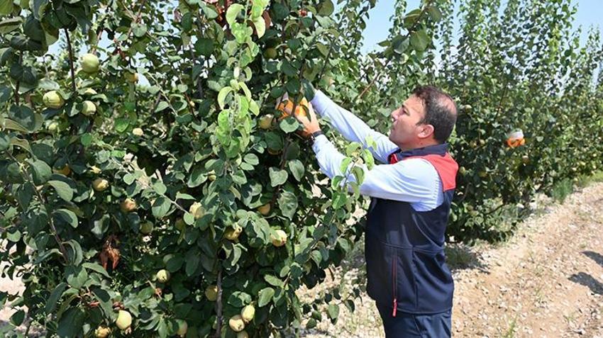 Çiftçiye milyarlık can suyu! Denizli’de tarım atağı zirve yaptı