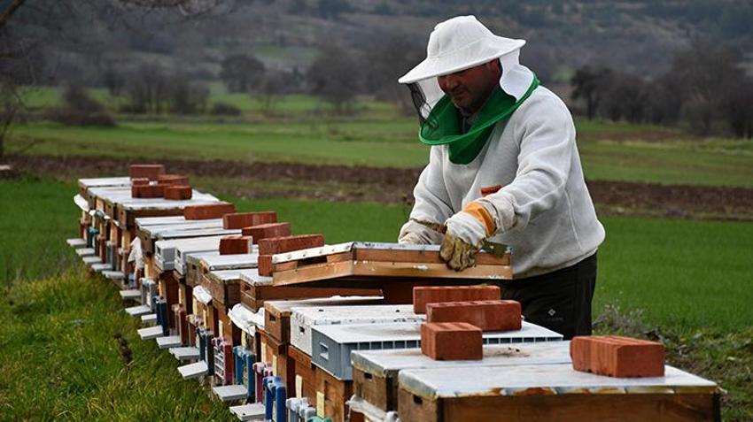 20 yıl sonra şehirden köyüne döndü, 1 ton üretti! Şimdi kendi markasıyla tüm Türkiye’ye satıyor