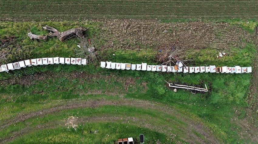 20 yıl sonra şehirden köyüne döndü, 1 ton üretti! Şimdi kendi markasıyla tüm Türkiye’ye satıyor