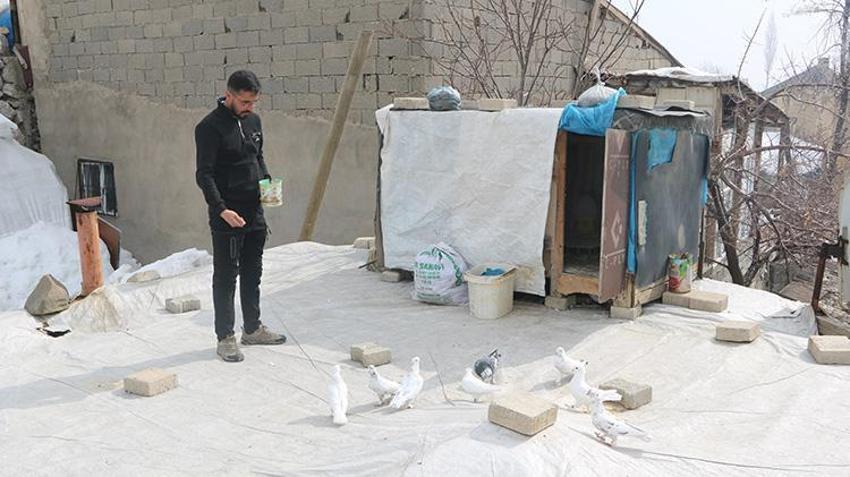 Babası bıraktı, o devraldı! Evinin damında besliyor, düğünlerden çıkıp onlara koşuyorlar