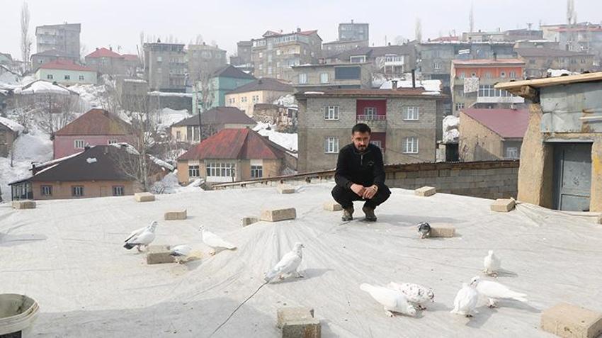 Babası bıraktı, o devraldı! Evinin damında besliyor, düğünlerden çıkıp onlara koşuyorlar