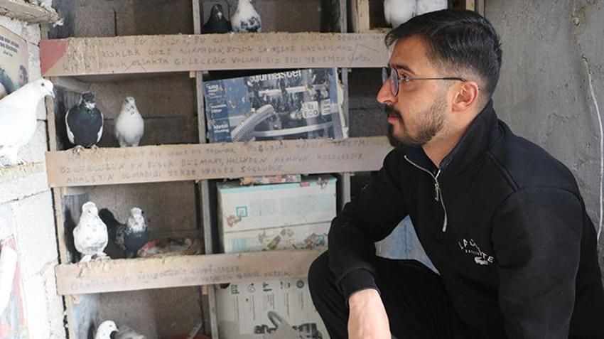 Babası bıraktı, o devraldı! Evinin damında besliyor, düğünlerden çıkıp onlara koşuyorlar