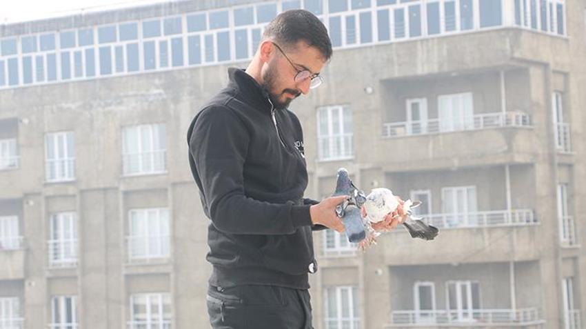 Babası bıraktı, o devraldı! Evinin damında besliyor, düğünlerden çıkıp onlara koşuyorlar