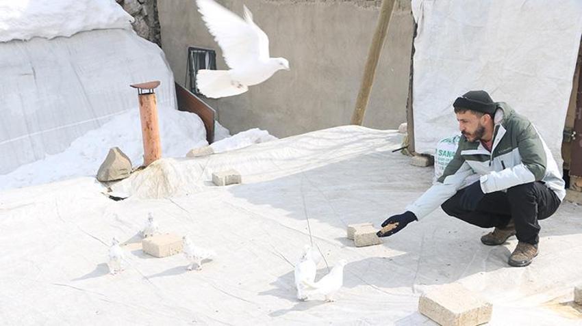 Babası bıraktı, o devraldı! Evinin damında besliyor, düğünlerden çıkıp onlara koşuyorlar