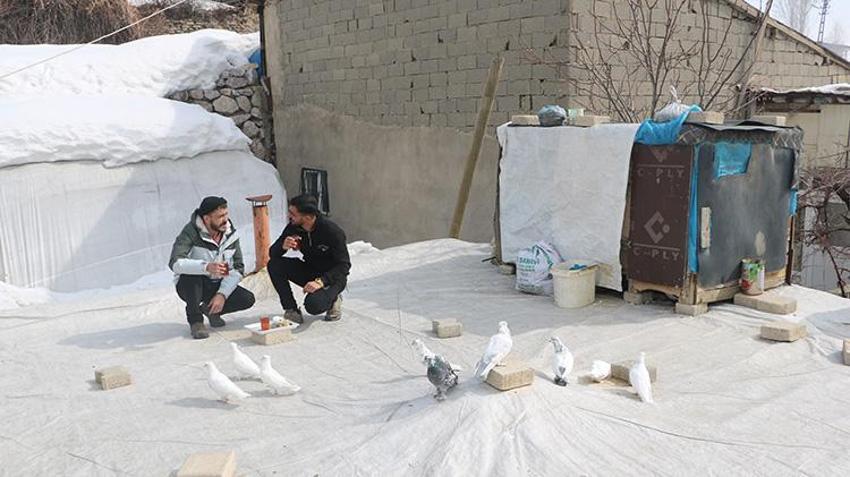 Babası bıraktı, o devraldı! Evinin damında besliyor, düğünlerden çıkıp onlara koşuyorlar