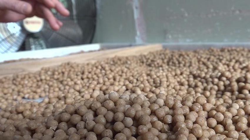 KOSGEB desteğiyle kurdu, 5 kadına iş kapısı açtı! Sipariş yağıyor