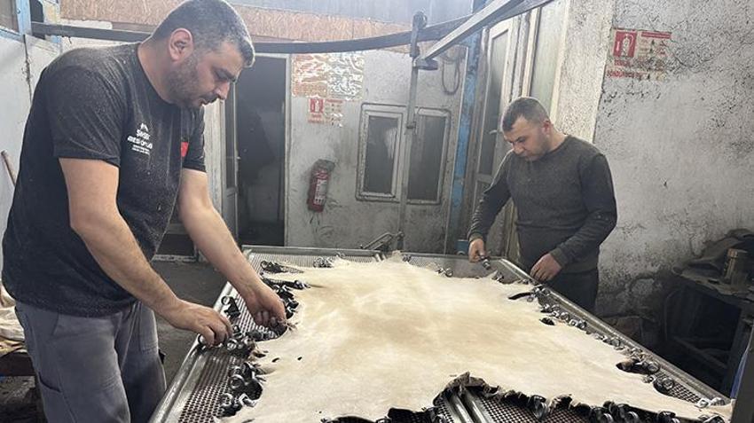 1991'de başladı şimdi Türkiye'nin yüzde 70'ini o karşılıyor! Isparta'dan dünyaya açıldı