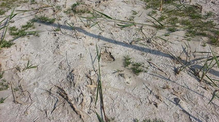 İzmir'de yeraltı suları yükseliyor! Mayıs sonunda rekor seviye bekleniyor