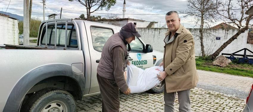 Aydın'da yılın ilk leylekleri gelmeye başladı, ilk gören 1 çuval unu kaptı