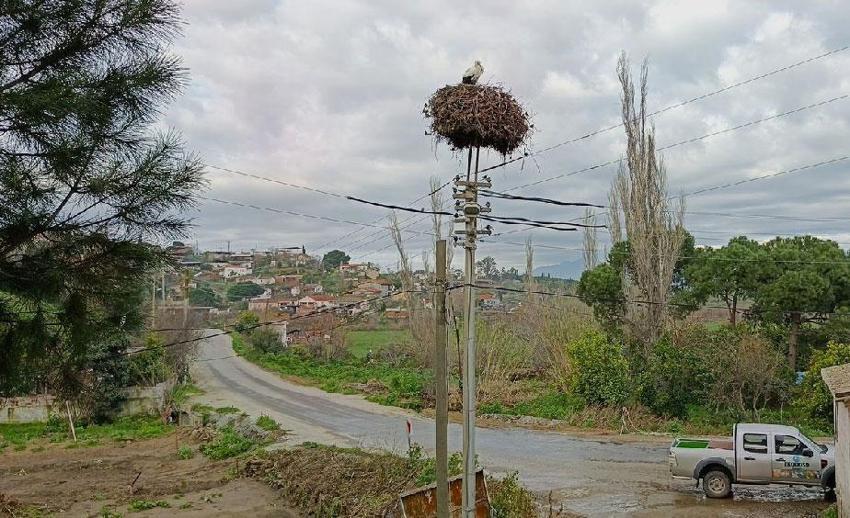 Aydın'da yılın ilk leylekleri gelmeye başladı, ilk gören 1 çuval unu kaptı