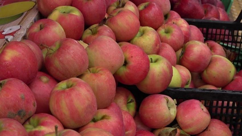 Bu test sadece Amasya'da yapılıyor! Ortasında yıldız bulan alıyor