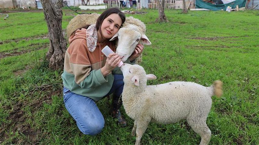Hayvan sevgisi mesleğe dönüştü: Nöbetten çiftliğe koşuyor