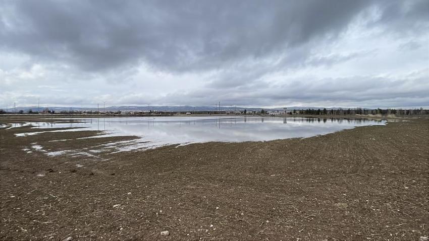 Sivas'ta şehir merkezinde tesadüfen oluştu: Herkes fotoğraf çektiriyor