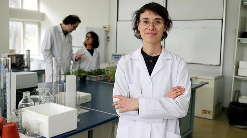 Türk bilim insanları yaptı: Ay ve Mars regolitleri benzerinde domates yetiştirildi