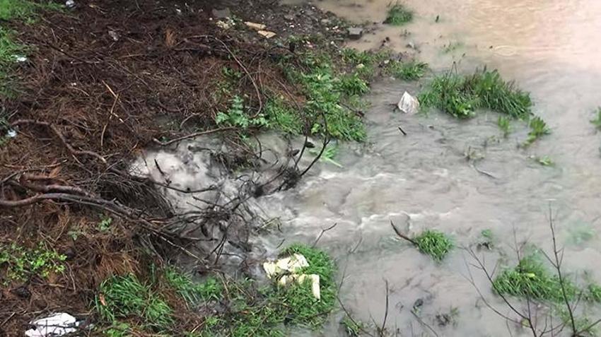 İzmir'in içme suyuna kanalizasyon suları deşarj ediliyor! Tahtalı Barajı'nda büyük tehlike