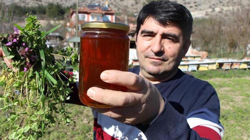Hobi olarak başladı, rekabeti kovanlara taşıdı! Amasyalı arıcıdan ilginç yöntem