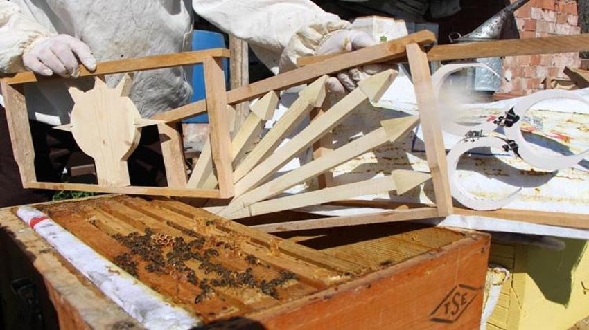 Hobi olarak başladı, rekabeti kovanlara taşıdı! Amasyalı arıcıdan ilginç yöntem