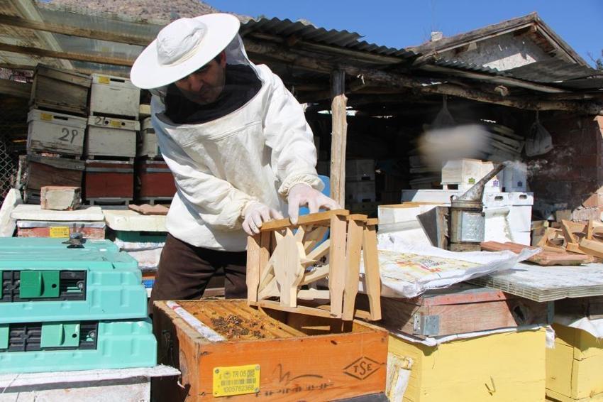 Hobi olarak başladı, rekabeti kovanlara taşıdı! Amasyalı arıcıdan ilginç yöntem