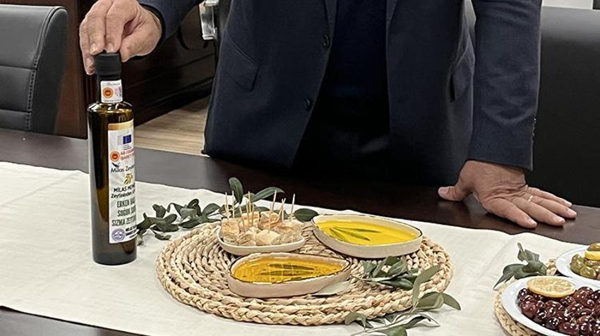 Milas Zeytinyağından sonra Çekişke zeytini de Avrupa korumasına giriyor